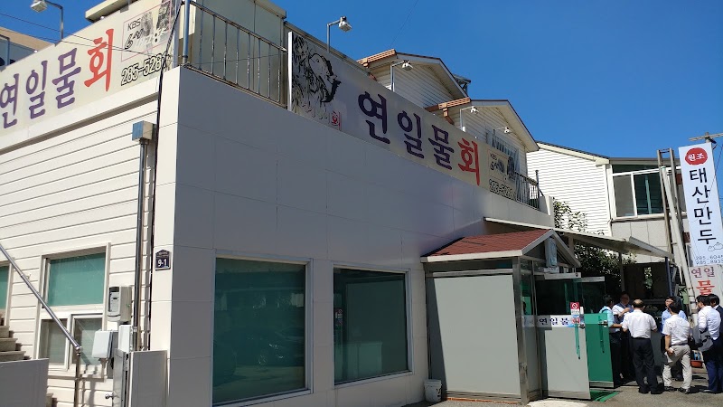 연일물회
