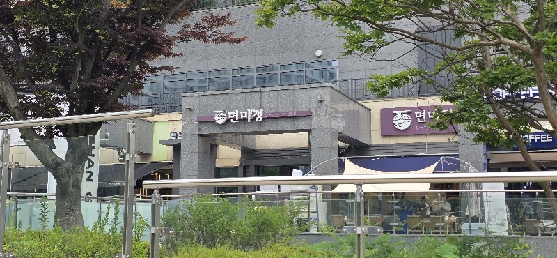 면미정