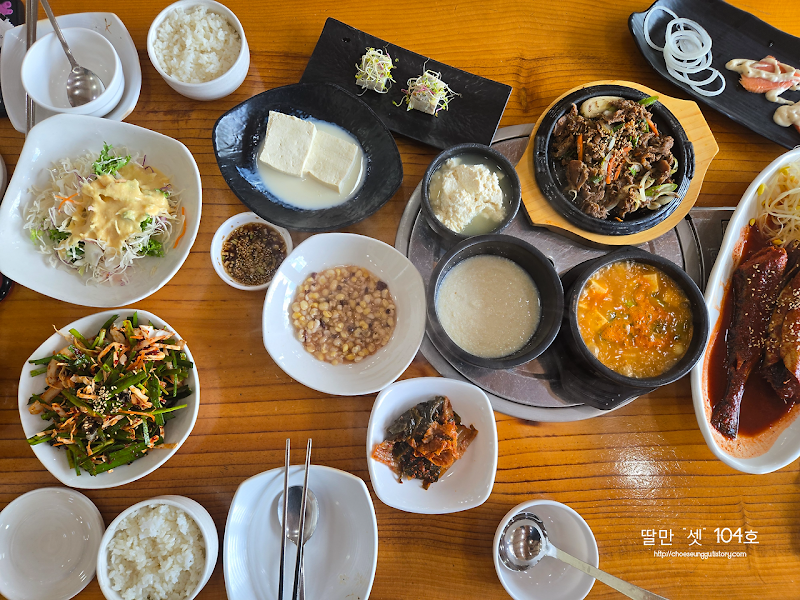 행복한 콩박사