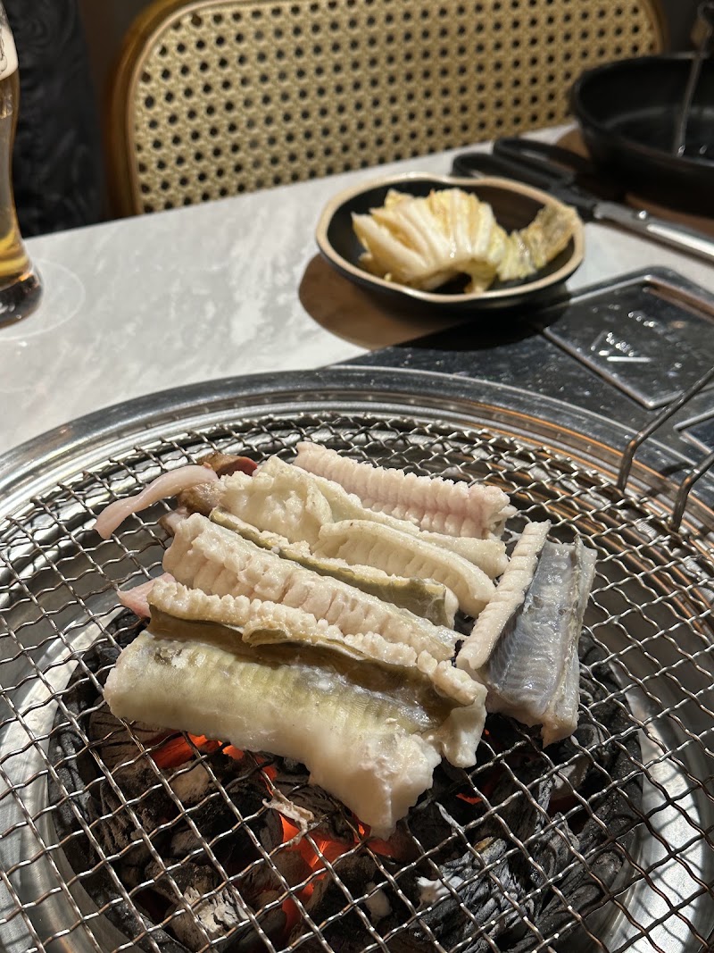 왕자장어