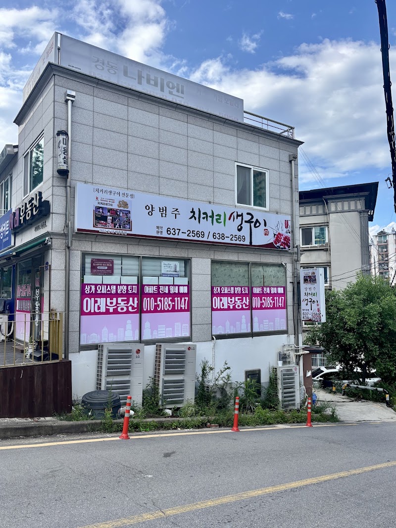 치커리생구이