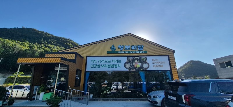 청보리밭