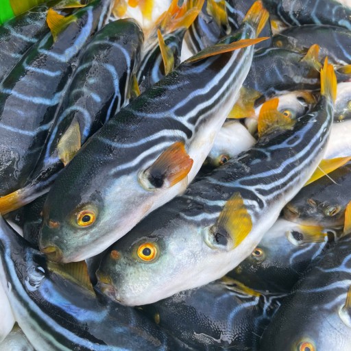 동경복집