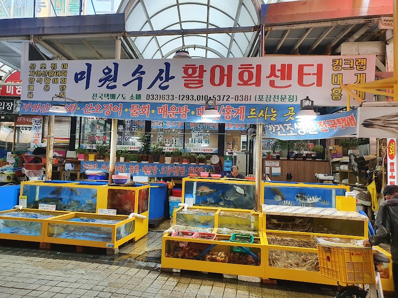 속초관광수산시장