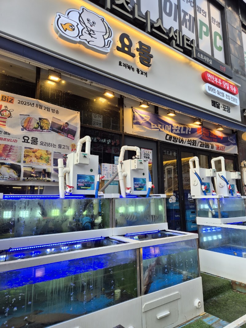 요물 마곡발산점