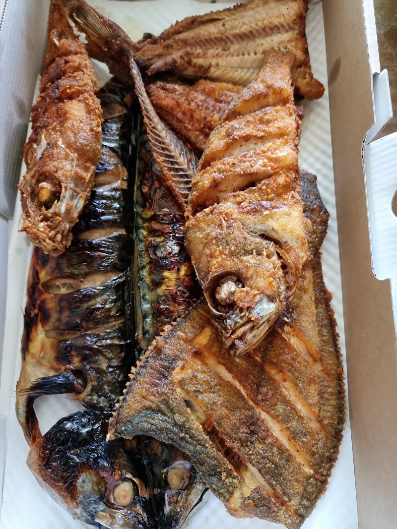 털보고된이 본점