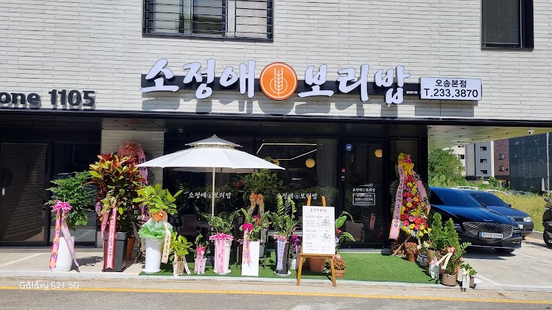 소정애 보리밥
